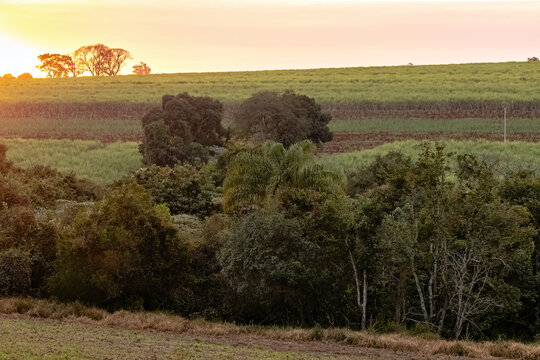 sunset in the countryside