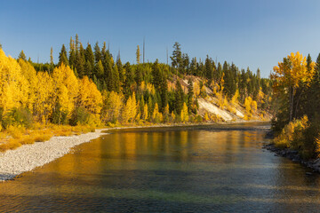 North Fork Flathead River and colorful Fall foliage, Glacier National Park, Montana, USA