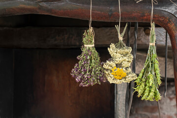 Hanging bunches of medicinal herbs Mountain tea or Sideritis scardica, oreganum vulgare, yarrow or achillea millefolium. Harvesting herbal plants. Traditional, alternative medicine. Rural life scene © Elena