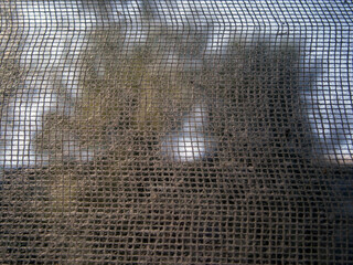 Window view through mesh fabric
