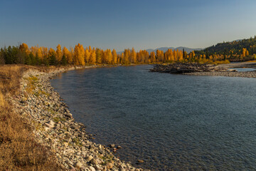 North Fork Flathead River and colorful Fall foliage, Glacier National Park, Montana, USA