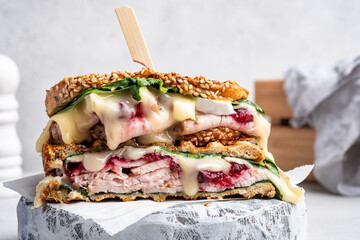 Fresh Homemade Turkey Sandwich with brie cheese, spinach and cranberry sauce