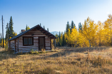 Primitive log cabin in the fall forest