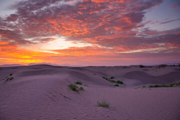 Desert sand dunes at sunrise