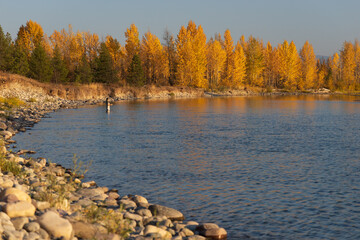 Fisherman in North Fork Flathead River and colorful Fall foliage, Glacier National Park, Montana,...