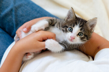 underwater filming poisonous jellyfish with huge tentacles with a purple border swims in the sea close-up. High quality 4k footage
