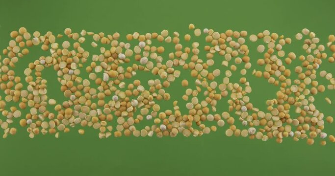 Peas grain stripe isolated on green screen. Top view.