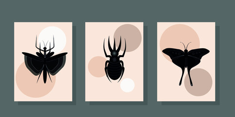 Fototapeta na wymiar Collection of posters with hand drawn, insects: mantis, atlas-beetle, butterfly. Ink beetles with floral designs and geometric shapes on the back