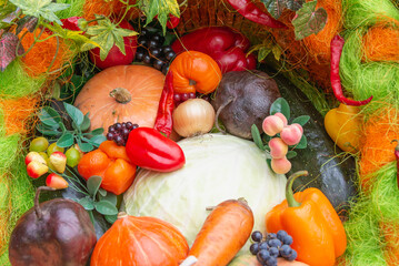 Vegetables and fruits from the garden are different. Autumn harvest.
