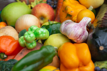 Vegetables and fruits from the garden. Autumn harvest.