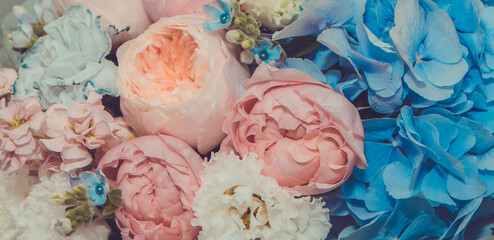 Floral background with blue hydrangea flower