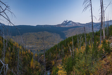 Fall foliage at  Glacier National Park, Montana, USA

