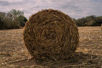 bales of hay
