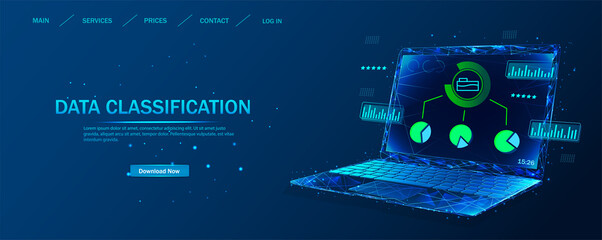 Data classification. The system of electronic classification of corporate data. On the laptop screen, data about system files is displayed. Classification of files, folders, graphs.