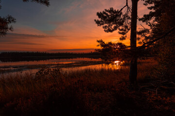 Naklejka na ściany i meble Sunset in the Kemeri National Park, Latvia