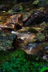 緑と渓流の流れ