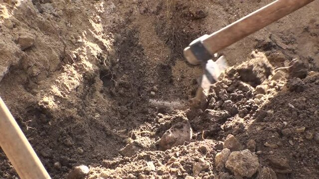 Archaeological excavations, rough works on the archeological site, the archaeologist shovels the earth excavated from the walls of the ancient fortress