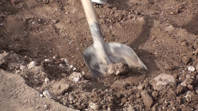 Archaeological excavations, rough works on the archeological site, the archaeologist shovels the earth excavated from the walls of the ancient fortress
