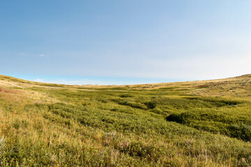 Grasslands ravine