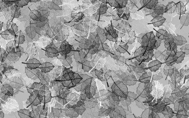 Light Gray vector abstract design with leaves.
