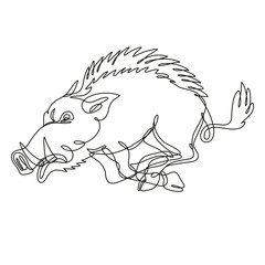 Continuous line drawing illustration of a razorback wild boar running attacking side view  done in mono line or doodle style in black and white on isolated background. 