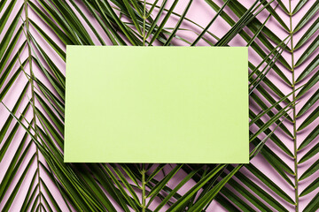 Blank card and palm leaves on color background