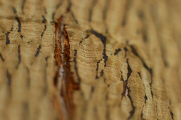 beautiful rich stem fiber background