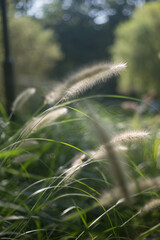 Outdoor Scenery in South Korea