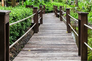Fototapeta na wymiar A dark wooden bridge crosses a pond in a tropical garden