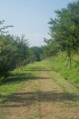 Outdoor Scenery in South Korea