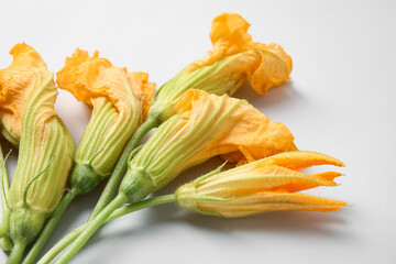 Flowers of zucchini on light background, closeup