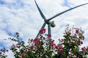 Wind generators  with flower