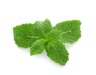 Refreshing green mint leaves on white background