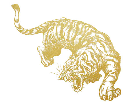 Asian style line drawing of golden tiger
