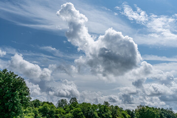 Obraz premium White cotton like puffy cumulus clouds against a blue sky with the suns rays shining.