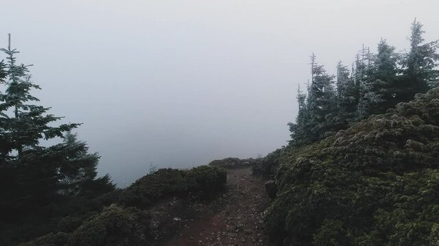 POV walking on a mountain trail with pines in the background in a cold moody atmosphere.