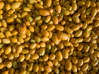 Raw dates fruit background view from above. Date fruit farming in Pakistan. Preparation process at home.