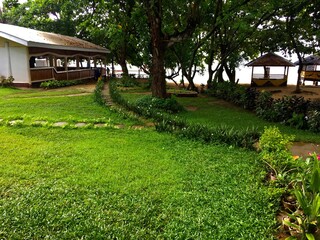 nature beach landscape travel