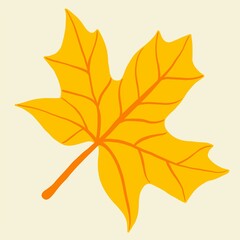 Simplicity maple leaf freehand drawing flat design.