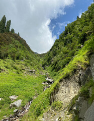 Fototapeta na wymiar Small water stream or brook coming from green mountain top in himachal pradesh, India