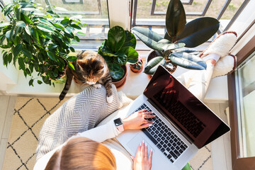 Woman freelancer sitting on armchair and putting your feet on windowsill with plants, remote works...