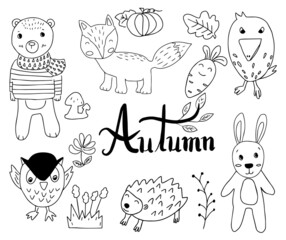 Set of animal in autumn cartoon doodle style,line hand drawn,vector illustration.