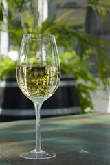 A glass of white wine with grapes on wooden table. White wine Riesling, from white grapes