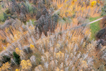 aerial view of colorful park landscape with autumn trees and ground covered by dry foliage