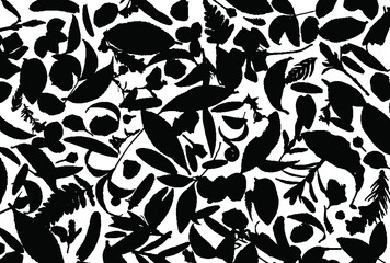 Fototapeta premium Leaves, seeds and flowers of the forest floor on a white background. Vector