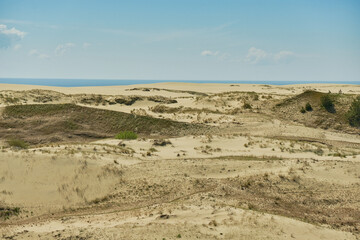 Sand dunes of the russian part Curonian Spit. Kaliningrad region, Russia