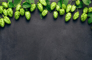 Green hop cones, ingredient for authentic brewery, on black textured table surface. Oktoberfest beer festival concept background with copy space.