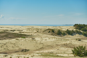Sand dunes of the russian part Curonian Spit. Kaliningrad region, Russia