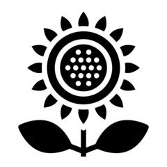 sunflower glyph icon