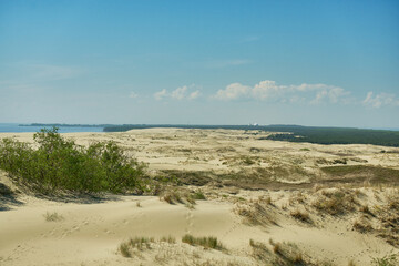 Sand dunes of the russian part Curonian Spit. Kaliningrad region, Russia